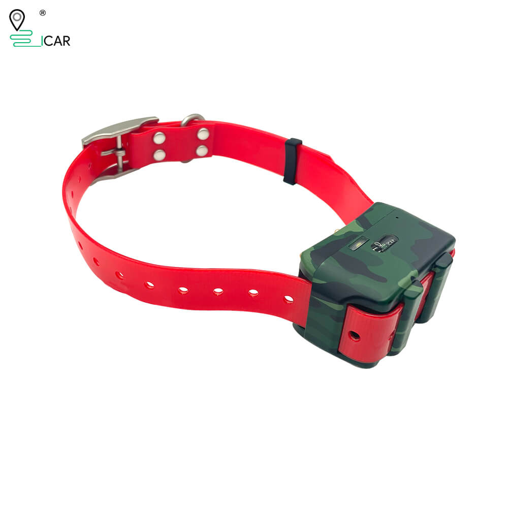 4G Dog GPS Training Collar