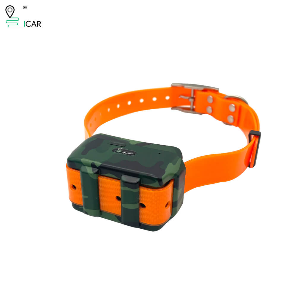 4G Dog GPS Training Collar