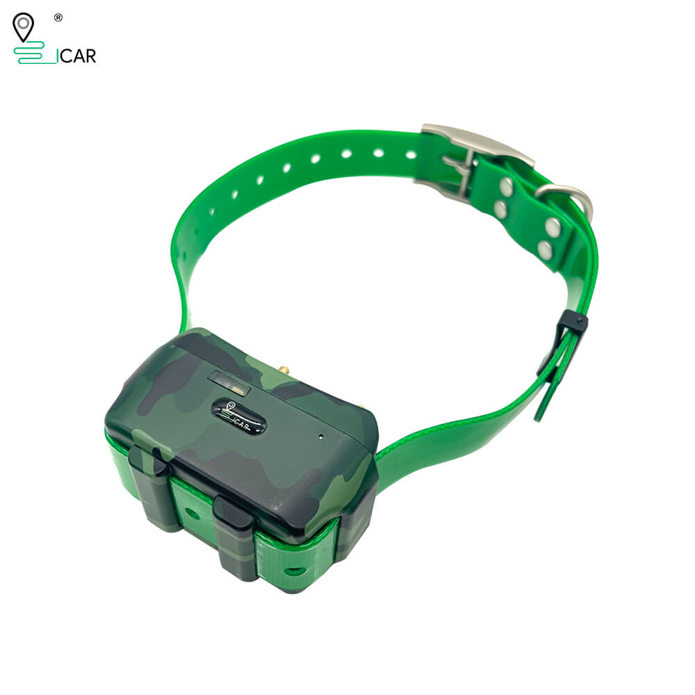 4G Dog GPS Training Collar